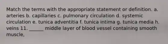 Match the terms with the appropriate statement or definition. a. arteries b. capillaries c. pulmonary circulation d. systemic circulation e. tunica adventitia f. tunica intima g. tunica media h. veins 11. ______ middle layer of blood vessel containing smooth muscle,