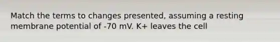 Match the terms to changes presented, assuming a resting membrane potential of -70 mV. K+ leaves the cell