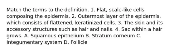 Match the terms to the definition. 1. Flat, scale-like cells composing the epidermis. 2. Outermost layer of the epidermis, which consists of flattened, keratinized cells. 3. The skin and its accessory structures such as hair and nails. 4. Sac within a hair grows. A. Squamous epithelium B. Stratum corneum C. Integumentary system D. Follicle