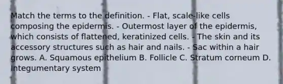 Match the terms to the definition. - Flat, scale-like cells composing the epidermis. - Outermost layer of the epidermis, which consists of flattened, keratinized cells. - The skin and its accessory structures such as hair and nails. - Sac within a hair grows. A. Squamous epithelium B. Follicle C. Stratum corneum D. Integumentary system