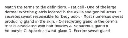 Match the terms to the definitions. - Fat cell - One of the large dermal exocrine glands located in the axilla and genital areas. It secretes sweat responsible for body odor. - Most numerous sweat producing gland in the skin. - Oil-secreting gland in the dermis that is associated with hair follicles A. Sebaceous gland B. Adipocyte C. Apocrine sweat gland D. Eccrine sweat gland