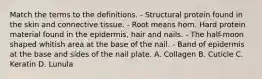 Match the terms to the definitions. - Structural protein found in the skin and connective tissue. - Root means horn. Hard protein material found in the epidermis, hair and nails. - The half-moon shaped whitish area at the base of the nail. - Band of epidermis at the base and sides of the nail plate. A. Collagen B. Cuticle C. Keratin D. Lunula