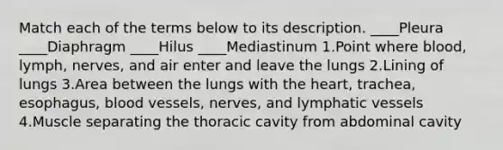 Match each of the terms below to its description. ____Pleura ____Diaphragm ____Hilus ____Mediastinum 1.Point where blood, lymph, nerves, and air enter and leave the lungs 2.Lining of lungs 3.Area between the lungs with the heart, trachea, esophagus, blood vessels, nerves, and lymphatic vessels 4.Muscle separating the thoracic cavity from abdominal cavity