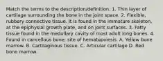 Match the terms to the description/definition. 1. Thin layer of cartilage surrounding the bone in the joint space. 2. Flexible, rubbery connective tissue. It is found in the immature skeleton, at the epiphysial growth plate, and on joint surfaces. 3. Fatty tissue found in the medullary cavity of most adult long bones. 4. Found in cancellous bone; site of hematopoiesis. A. Yellow bone marrow. B. Cartilaginous tissue. C. Articular cartilage D. Red bone marrow.