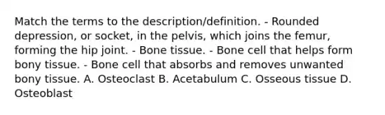 Match the terms to the description/definition. - Rounded depression, or socket, in the pelvis, which joins the femur, forming the hip joint. - Bone tissue. - Bone cell that helps form bony tissue. - Bone cell that absorbs and removes unwanted bony tissue. A. Osteoclast B. Acetabulum C. Osseous tissue D. Osteoblast