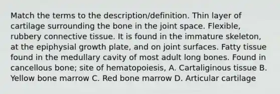 Match the terms to the description/definition. Thin layer of cartilage surrounding the bone in the joint space. Flexible, rubbery connective tissue. It is found in the immature skeleton, at the epiphysial growth plate, and on joint surfaces. Fatty tissue found in the medullary cavity of most adult long bones. Found in cancellous bone; site of hematopoiesis, A. Cartaliginous tissue B. Yellow bone marrow C. Red bone marrow D. Articular cartilage