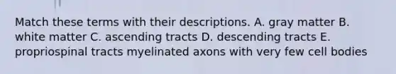 Match these terms with their descriptions. A. gray matter B. white matter C. ascending tracts D. descending tracts E. propriospinal tracts myelinated axons with very few cell bodies