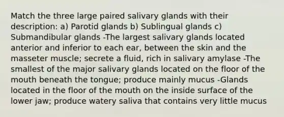 Match the three large paired salivary glands with their description: a) Parotid glands b) Sublingual glands c) Submandibular glands -The largest salivary glands located anterior and inferior to each ear, between the skin and the masseter muscle; secrete a fluid, rich in salivary amylase -The smallest of the major salivary glands located on the floor of <a href='https://www.questionai.com/knowledge/krBoWYDU6j-the-mouth' class='anchor-knowledge'>the mouth</a> beneath the tongue; produce mainly mucus -Glands located in the floor of the mouth on the inside surface of the lower jaw; produce watery saliva that contains very little mucus