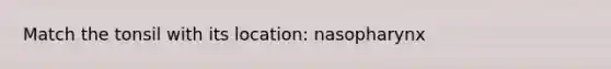 Match the tonsil with its location: nasopharynx