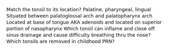 Match the tonsil to its location? Palatine, pharyngeal, lingual Situated between palatoglossal arch and palatopharynx arch Located at base of tongue AKA adenoids and located on superior portion of nasopharynx Which tonsil can inflame and close off sinus drainage and cause difficulty breathing thru the nose? Which tonsils are removed in childhood PRN?