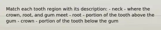 Match each tooth region with its description: - neck - where the crown, root, and gum meet - root - portion of the tooth above the gum - crown - portion of the tooth below the gum