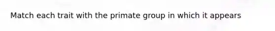 Match each trait with the primate group in which it appears