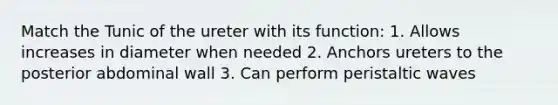 Match the Tunic of the ureter with its function: 1. Allows increases in diameter when needed 2. Anchors ureters to the posterior abdominal wall 3. Can perform peristaltic waves