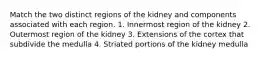 Match the two distinct regions of the kidney and components associated with each region. 1. Innermost region of the kidney 2. Outermost region of the kidney 3. Extensions of the cortex that subdivide the medulla 4. Striated portions of the kidney medulla