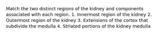 Match the two distinct regions of the kidney and components associated with each region. 1. Innermost region of the kidney 2. Outermost region of the kidney 3. Extensions of the cortex that subdivide the medulla 4. Striated portions of the kidney medulla