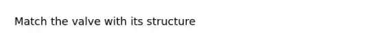 Match the valve with its structure