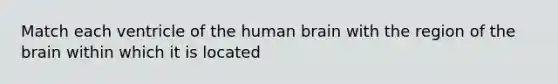 Match each ventricle of the human brain with the region of <a href='https://www.questionai.com/knowledge/kLMtJeqKp6-the-brain' class='anchor-knowledge'>the brain</a> within which it is located