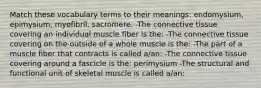 Match these vocabulary terms to their meanings: endomysium, epimysium, myofibril, sacromere. -The connective tissue covering an individual muscle fiber is the: -The connective tissue covering on the outside of a whole muscle is the: -The part of a muscle fiber that contracts is called a/an: -The connective tissue covering around a fascicle is the: perimysium -The structural and functional unit of skeletal muscle is called a/an: