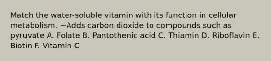 Match the water-soluble vitamin with its function in cellular metabolism. ~Adds carbon dioxide to compounds such as pyruvate A. Folate B. Pantothenic acid C. Thiamin D. Riboflavin E. Biotin F. Vitamin C