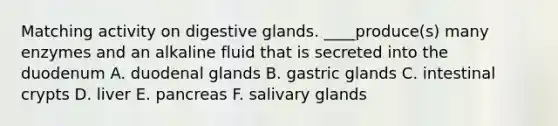 Matching activity on digestive glands. ____produce(s) many enzymes and an alkaline fluid that is secreted into the duodenum A. duodenal glands B. gastric glands C. intestinal crypts D. liver E. pancreas F. salivary glands