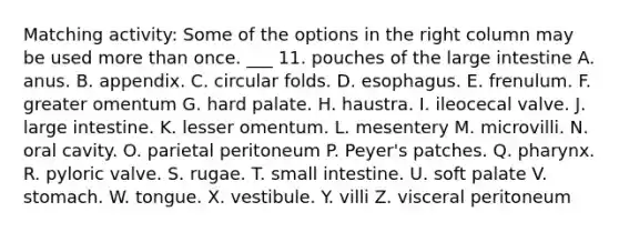 Matching activity: Some of the options in the right column may be used more than once. ___ 11. pouches of the large intestine A. anus. B. appendix. C. circular folds. D. esophagus. E. frenulum. F. greater omentum G. hard palate. H. haustra. I. ileocecal valve. J. large intestine. K. lesser omentum. L. mesentery M. microvilli. N. oral cavity. O. parietal peritoneum P. Peyer's patches. Q. pharynx. R. pyloric valve. S. rugae. T. small intestine. U. soft palate V. stomach. W. tongue. X. vestibule. Y. villi Z. visceral peritoneum