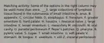 Matching activity: Some of the options in the right column may be used more than once. ___3. large collections of lymphoid tissue found in the submucosa of small intestine A. anus. B. appendix. C. circular folds. D. esophagus. E. frenulum. F. greater omentum G. hard palate. H. haustra. I. ileocecal valve. J. large intestine. K. lesser omentum. L. mesentery M. microvilli. N. oral cavity. O. parietal peritoneum P. Peyer's patches. Q. pharynx. R. pyloric valve. S. rugae. T. small intestine. U. soft palate V. stomach. W. tongue. X. vestibule. Y. villi Z. visceral peritoneum