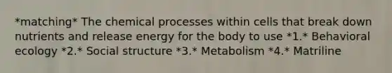 *matching* The chemical processes within cells that break down nutrients and release energy for the body to use *1.* Behavioral ecology *2.* Social structure *3.* Metabolism *4.* Matriline