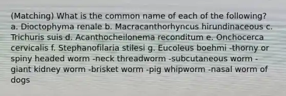 (Matching) What is the common name of each of the following? a. Dioctophyma renale b. Macracanthorhyncus hirundinaceous c. Trichuris suis d. Acanthocheilonema reconditum e. Onchocerca cervicalis f. Stephanofilaria stilesi g. Eucoleus boehmi -thorny or spiny headed worm -neck threadworm -subcutaneous worm -giant kidney worm -brisket worm -pig whipworm -nasal worm of dogs