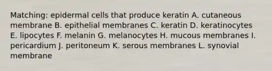 Matching: epidermal cells that produce keratin A. cutaneous membrane B. epithelial membranes C. keratin D. keratinocytes E. lipocytes F. melanin G. melanocytes H. mucous membranes I. pericardium J. peritoneum K. serous membranes L. synovial membrane