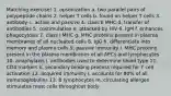 Matching exercise! 1. opsonization a. two parallel pairs of polypeptide chains 2. helper T cells b. found on helper T cells 3. antibody c. active and passive 4. class II MHC d. transfer of antibodies 5. costimulation e. attacked by HIV 6. IgM f. enhances phagocytosis 7. class I MHC g. MHC proteins present in plasma membranes of all nucleated cells 8. IgG h. differentiate into memory and plasma cells 9. passive immunity i. MHC proteins present in the plasma membranes of all APCs and lymphocytes 10. anaphylaxis j. antibodies used to determine blood type 11. CD4 markers k. secondary binding process required for T cell activation 12. acquired immunity l. accounts for 80% of all immunoglobulins 13. B lymphocytes m. circulating allergen stimulates mast cells throughout body