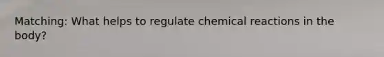 Matching: What helps to regulate chemical reactions in the body?