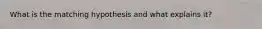 What is the matching hypothesis and what explains it?