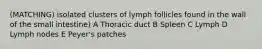 (MATCHING) isolated clusters of lymph follicles found in the wall of the small intestine) A Thoracic duct B Spleen C Lymph D Lymph nodes E Peyer's patches