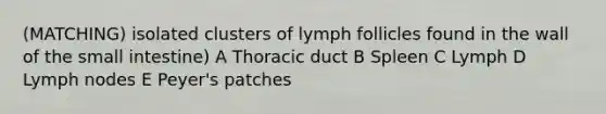 (MATCHING) isolated clusters of lymph follicles found in the wall of <a href='https://www.questionai.com/knowledge/kt623fh5xn-the-small-intestine' class='anchor-knowledge'>the small intestine</a>) A Thoracic duct B Spleen C Lymph D Lymph nodes E Peyer's patches