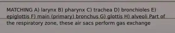 MATCHING A) larynx B) pharynx C) trachea D) bronchioles E) epiglottis F) main (primary) bronchus G) glottis H) alveoli Part of the respiratory zone, these air sacs perform gas exchange