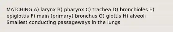 MATCHING A) larynx B) pharynx C) trachea D) bronchioles E) epiglottis F) main (primary) bronchus G) glottis H) alveoli Smallest conducting passageways in the lungs