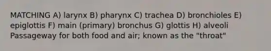 MATCHING A) larynx B) pharynx C) trachea D) bronchioles E) epiglottis F) main (primary) bronchus G) glottis H) alveoli Passageway for both food and air; known as the "throat"