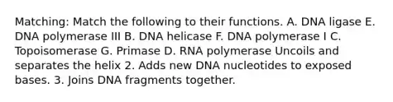 Matching: Match the following to their functions. A. DNA ligase E. DNA polymerase III B. DNA helicase F. DNA polymerase I C. Topoisomerase G. Primase D. RNA polymerase Uncoils and separates the helix 2. Adds new DNA nucleotides to exposed bases. 3. Joins DNA fragments together.