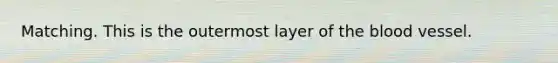 Matching. This is the outermost layer of <a href='https://www.questionai.com/knowledge/k7oXMfj7lk-the-blood' class='anchor-knowledge'>the blood</a> vessel.