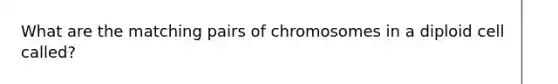 What are the matching pairs of chromosomes in a diploid cell called?