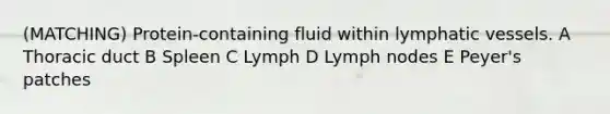 (MATCHING) Protein-containing fluid within lymphatic vessels. A Thoracic duct B Spleen C Lymph D Lymph nodes E Peyer's patches