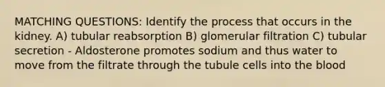 MATCHING QUESTIONS: Identify the process that occurs in the kidney. A) tubular reabsorption B) glomerular filtration C) tubular secretion - Aldosterone promotes sodium and thus water to move from the filtrate through the tubule cells into <a href='https://www.questionai.com/knowledge/k7oXMfj7lk-the-blood' class='anchor-knowledge'>the blood</a>