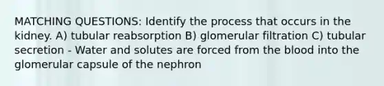 MATCHING QUESTIONS: Identify the process that occurs in the kidney. A) tubular reabsorption B) glomerular filtration C) tubular secretion - Water and solutes are forced from <a href='https://www.questionai.com/knowledge/k7oXMfj7lk-the-blood' class='anchor-knowledge'>the blood</a> into the glomerular capsule of the nephron