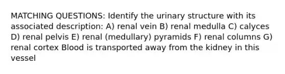 MATCHING QUESTIONS: Identify the urinary structure with its associated description: A) renal vein B) renal medulla C) calyces D) renal pelvis E) renal (medullary) pyramids F) renal columns G) renal cortex Blood is transported away from the kidney in this vessel