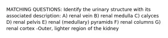 MATCHING QUESTIONS: Identify the urinary structure with its associated description: A) renal vein B) renal medulla C) calyces D) renal pelvis E) renal (medullary) pyramids F) renal columns G) renal cortex -Outer, lighter region of the kidney