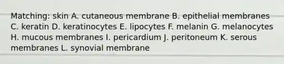 Matching: skin A. cutaneous membrane B. epithelial membranes C. keratin D. keratinocytes E. lipocytes F. melanin G. melanocytes H. mucous membranes I. pericardium J. peritoneum K. serous membranes L. synovial membrane