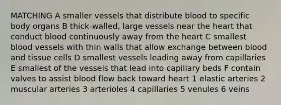 MATCHING A smaller vessels that distribute blood to specific body organs B thick-walled, large vessels near the heart that conduct blood continuously away from the heart C smallest blood vessels with thin walls that allow exchange between blood and tissue cells D smallest vessels leading away from capillaries E smallest of the vessels that lead into capillary beds F contain valves to assist blood flow back toward heart 1 elastic arteries 2 muscular arteries 3 arterioles 4 capillaries 5 venules 6 veins