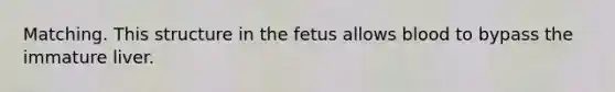 Matching. This structure in the fetus allows blood to bypass the immature liver.