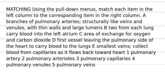 MATCHING Using the pull-down menus, match each item in the left column to the corresponding item in the right column. A branches of pulmonary arteries; structurally like veins and venules, with thin walls and large lumens B two from each lung carry blood into the left atrium C area of exchange for oxygen and carbon dioxide D first vessel leaving the pulmonary side of the heart to carry blood to the lungs E smallest veins; collect blood from capillaries as it flows back toward heart 1 pulmonary artery 2 pulmonary arterioles 3 pulmonary capillaries 4 pulmonary venules 5 pulmonary veins