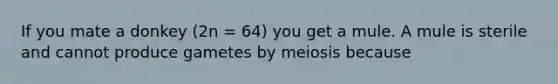 If you mate a donkey (2n = 64) you get a mule. A mule is sterile and cannot produce gametes by meiosis because